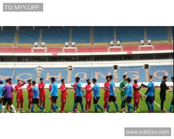 重庆羽毛球队边路渗透战术分析及其对比赛结果的影响探讨