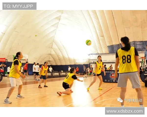 南京排球队灵活性分析与战术创新的深度探讨