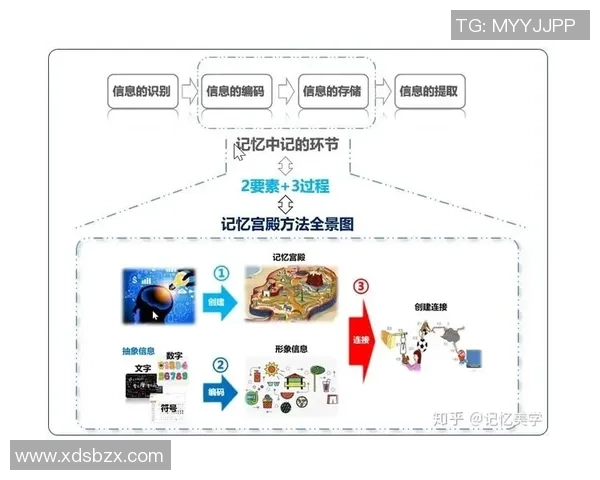 北京羽毛球队转型之路的挑战与机遇全景解析